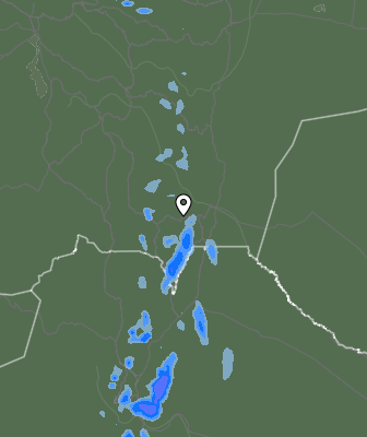 Валежи