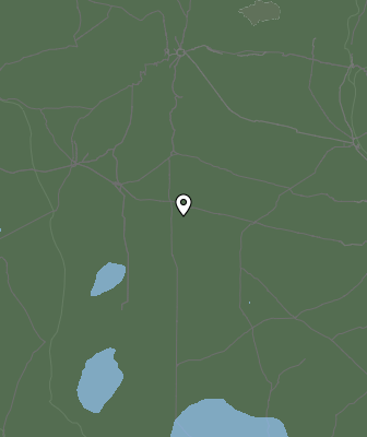 Валежи