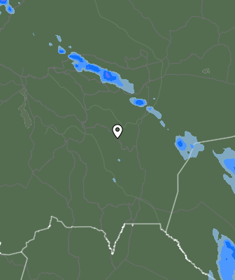 Валежи
