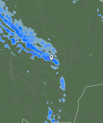 Валежи