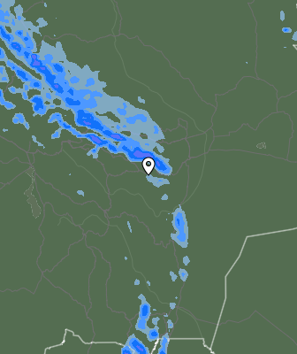 Валежи