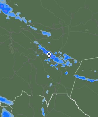 Валежи