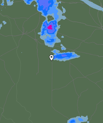 Валежи