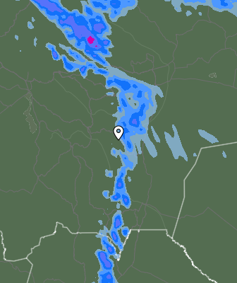 Валежи
