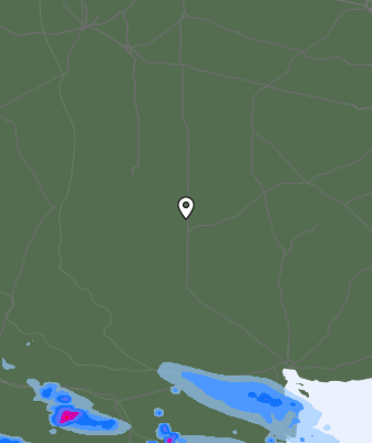 Валежи