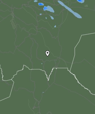 Валежи