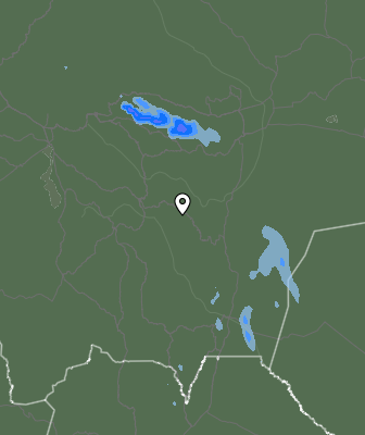 Валежи