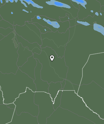 Валежи
