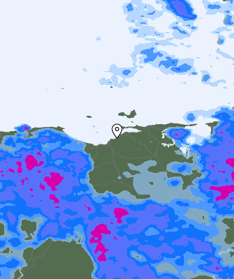 Валежи