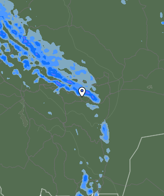 Валежи