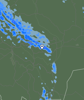 Валежи