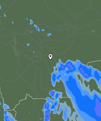 Валежи