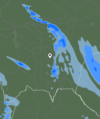 Валежи