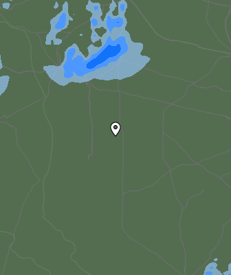 Валежи