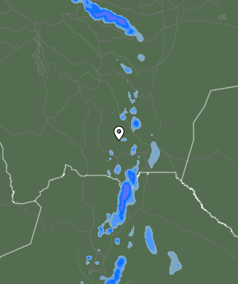 Валежи