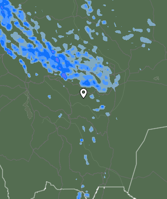 Валежи