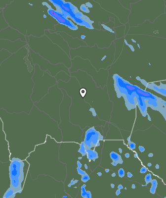 Валежи