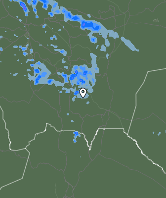 Валежи