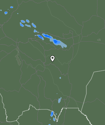 Валежи