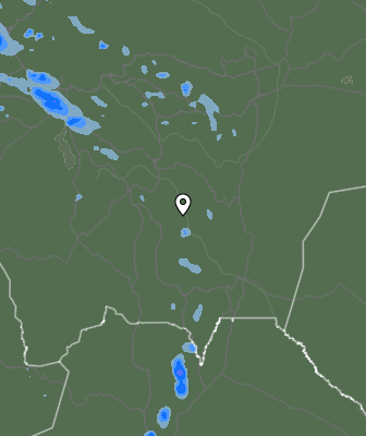 Валежи