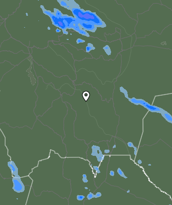 Валежи