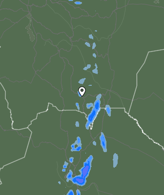 Валежи