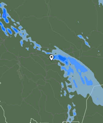 Niederschlagsprognose