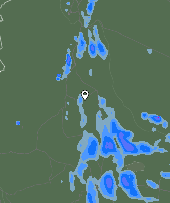 Валежи