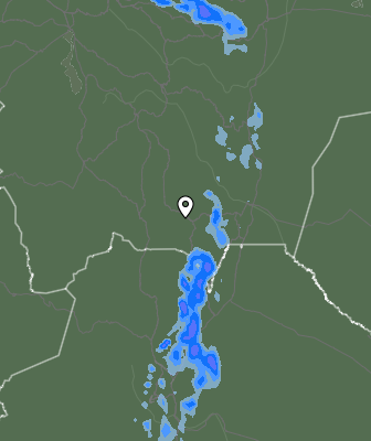 Валежи