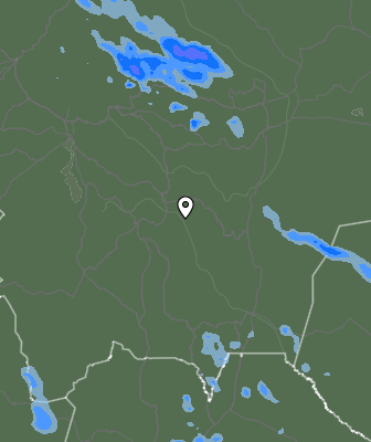 Валежи