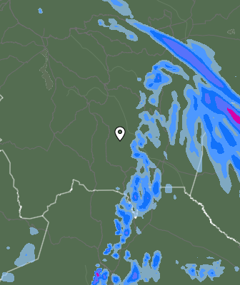 Валежи