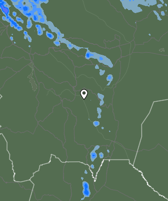 Валежи