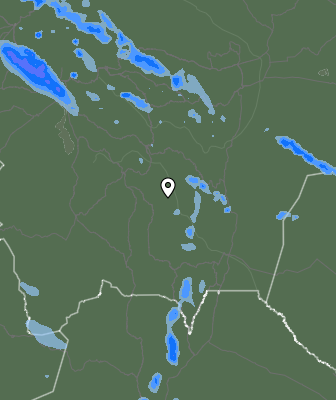 Валежи