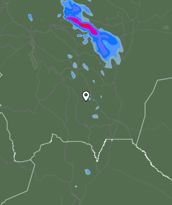 Валежи