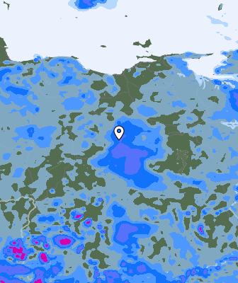 Валежи
