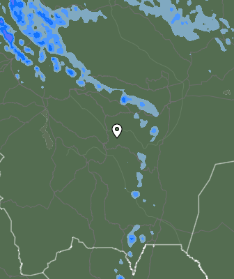 Валежи