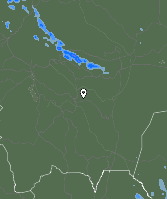 Валежи