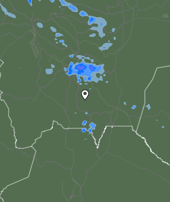 Валежи