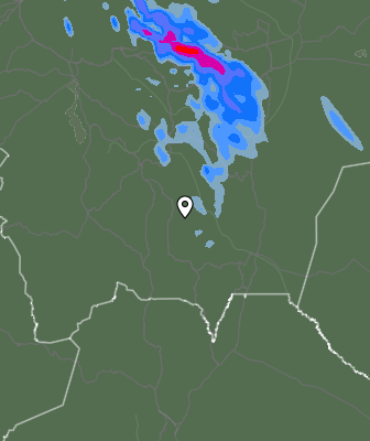 Валежи
