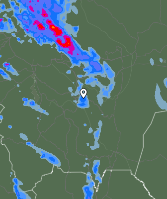 Валежи