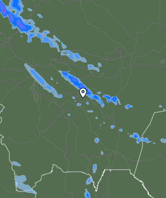 Валежи