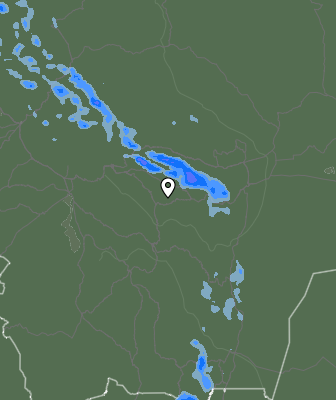 Валежи