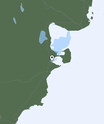 Валежи