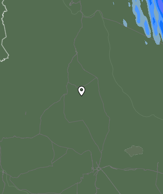 Валежи