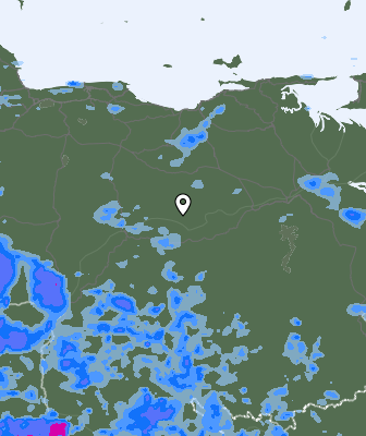 Валежи