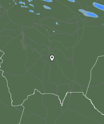 Валежи