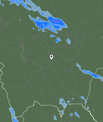 Валежи