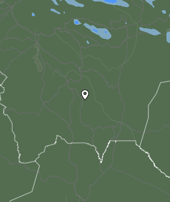 Валежи