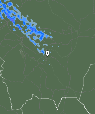 Валежи