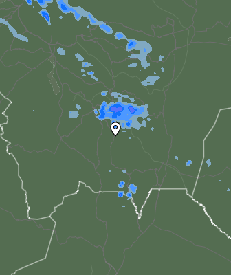 Валежи